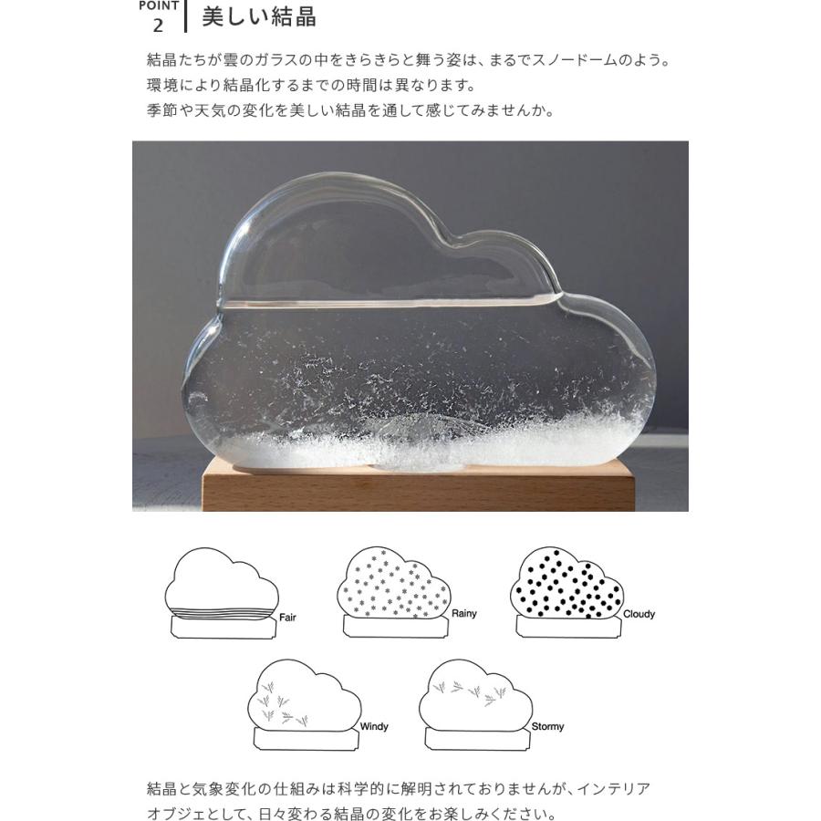 ストームクラウド STOME CLOUD Bitten ビトゥン ストームグラス 天気管 晴雨予報グラス ガラス 結晶 雲 置物 オブジェ 飾り 天気｜kaiteki-homes｜05