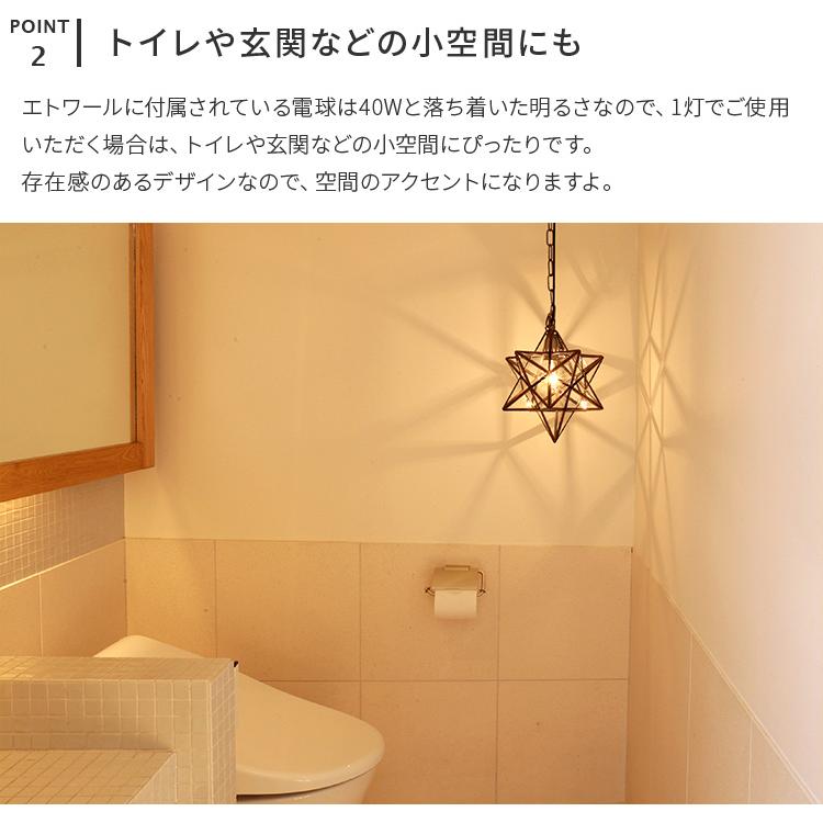 DI CLASSE（ディクラッセ） ペンダントライト エトワール led 対応