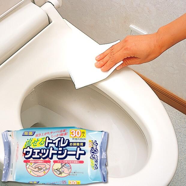 トイレ除菌シート トイレ用ウェットシート30P シートサイズ16×25cm 水洗トイレに流せる SQ058 アズマ工業｜kaitekihyakka｜02