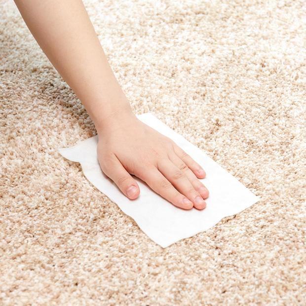 消臭 除菌 お掃除シート 10 Off 臭いも汚れも拭き取るシート布製品 30 cm 8枚入 カーテン 車のシートに Sqa84 アズマ工業 カーペット ソファ