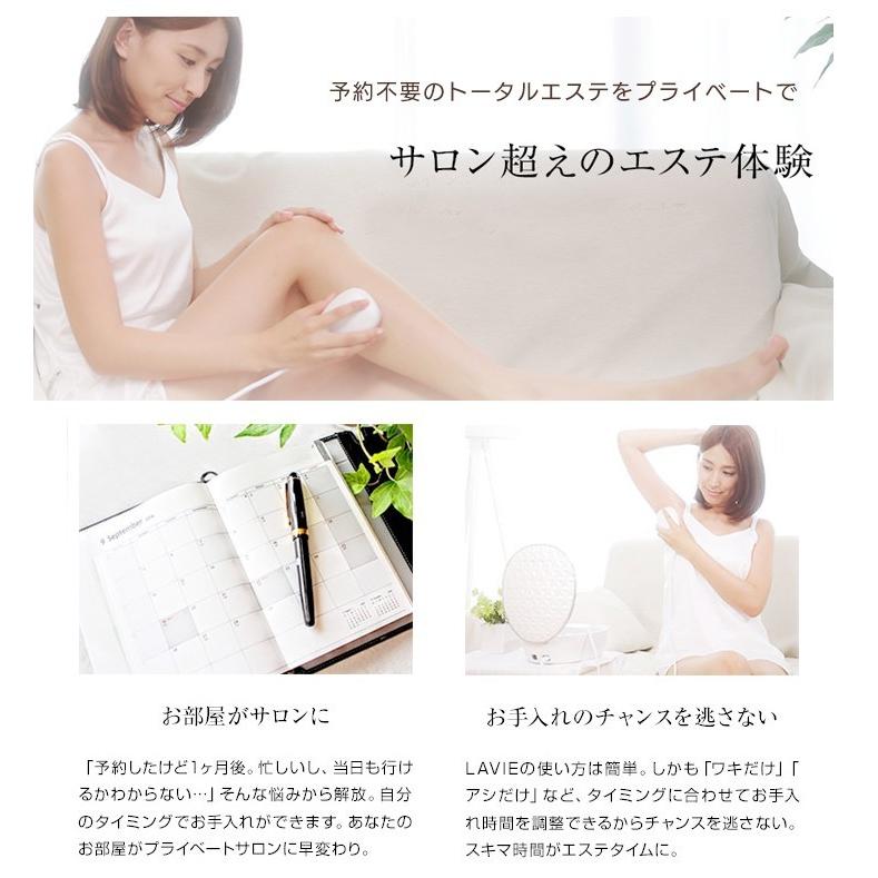 レルム 満員 大工 Lavie 脱毛 使い方 Aquaponicsgardner Com