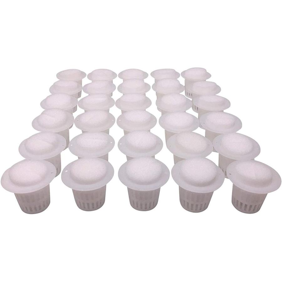 最大12 Offクーポン Happy Spring 水耕栽培 育苗箱 12穴 プラスチック製 3セット 3 Rmb Com Ar