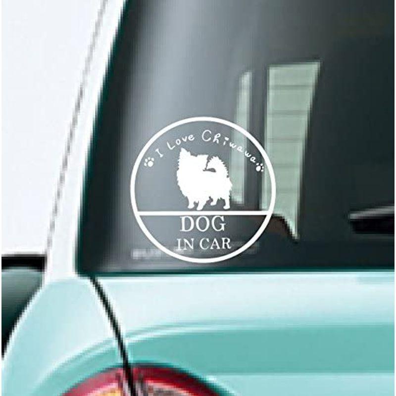 DOG IN CAR/ドッグインカ?/チワワ SU-DOGTMW|kaitekimatsu|03