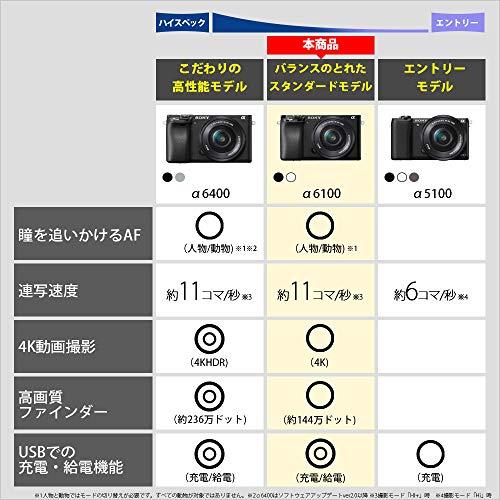 ソニー ミラーレス一眼 α6100 ダブルズームレンズキット ブラック ILCE-6100Y B ソニー ミラーレス一眼｜kaitekinetshop｜02