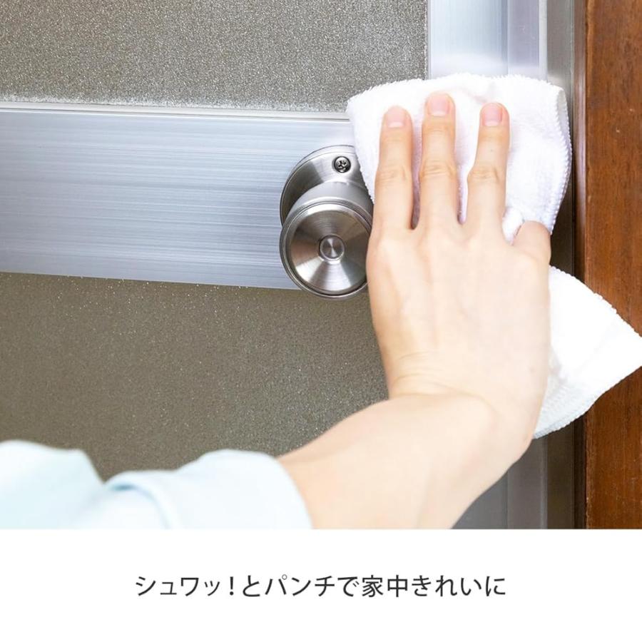シュワッ！とパンチお試しセット 計3個 30g×3個 炭酸洗浄剤 排水口