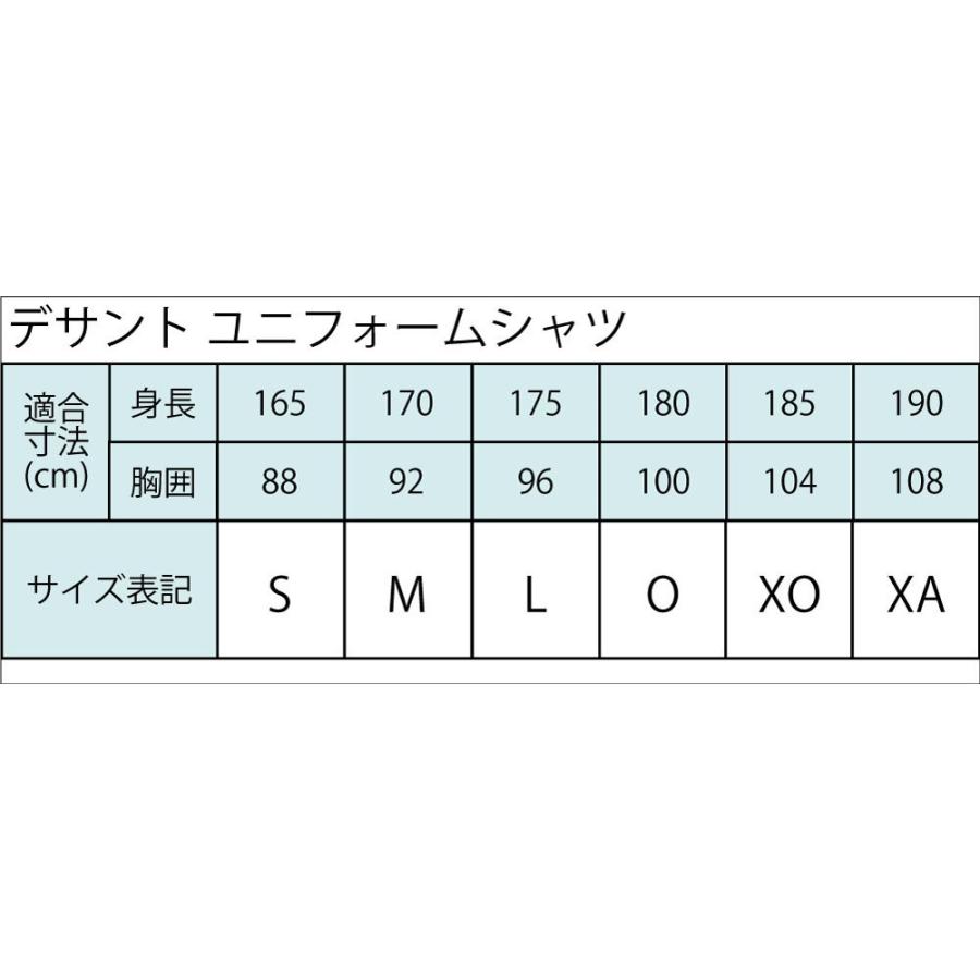 デサント 野球 ユニフォーム オーダー ベースボールシャツ レギュラーシルエット セカンダリー 背番号・ネーム他 マーキング できます（別料金） DB116｜kaito1997｜03