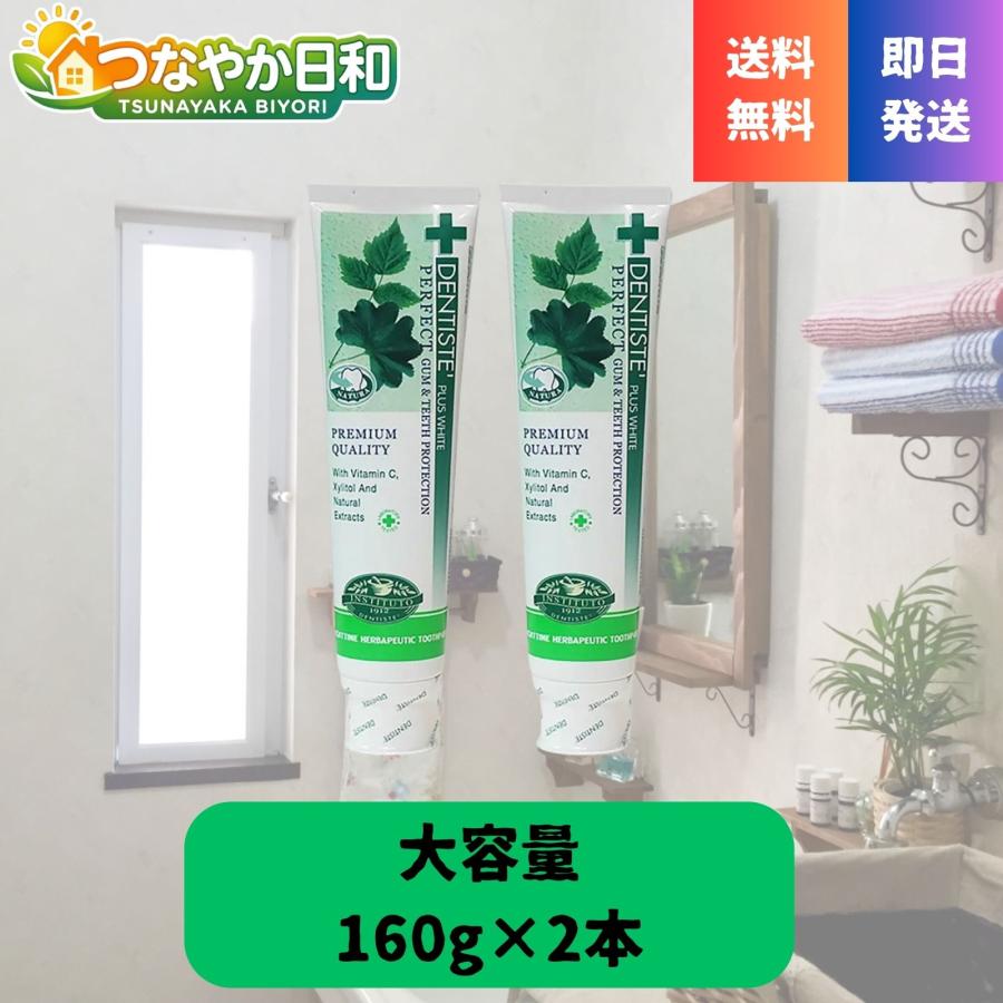 DENTISTE'（デンティス） 歯磨き粉 160g×2本 口臭予防 ホワイトニング