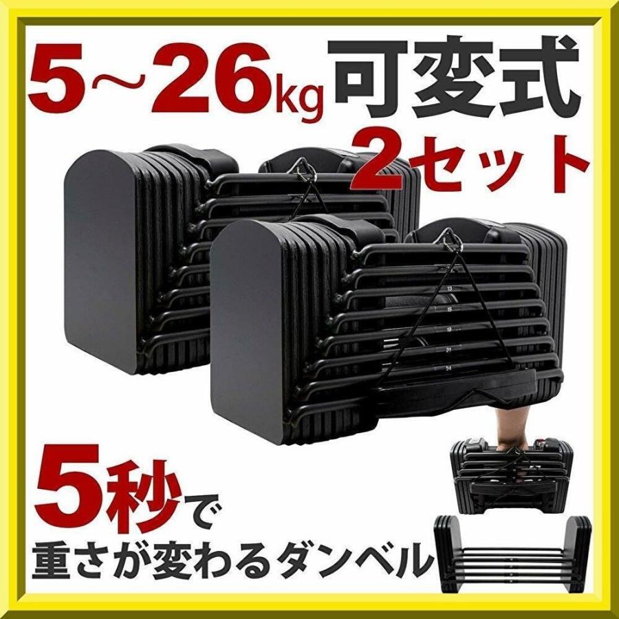 26kg 可変式ダンベル ブロックダンベル 可変式 ダンベル パワー 42kg 