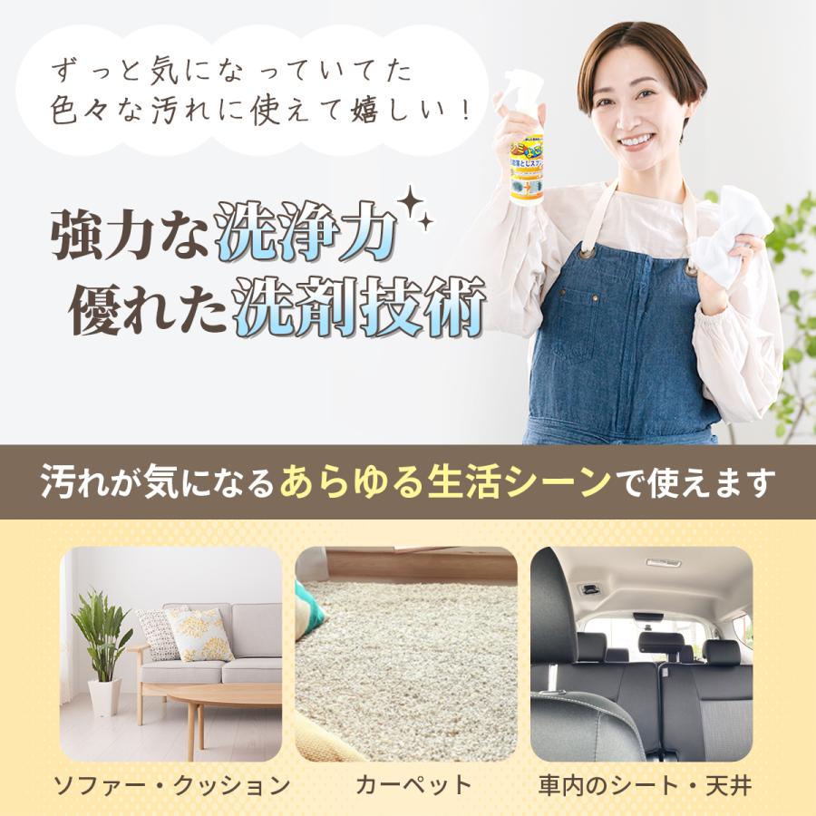 スリーエス 万能シミ汚れ落としスプレー3S 詰替 4L 専用ボトル付 日本製 業務用 強力 衣類 ファブリック カーペット キッチン 車 マルチ 洗浄剤 爆買の画像