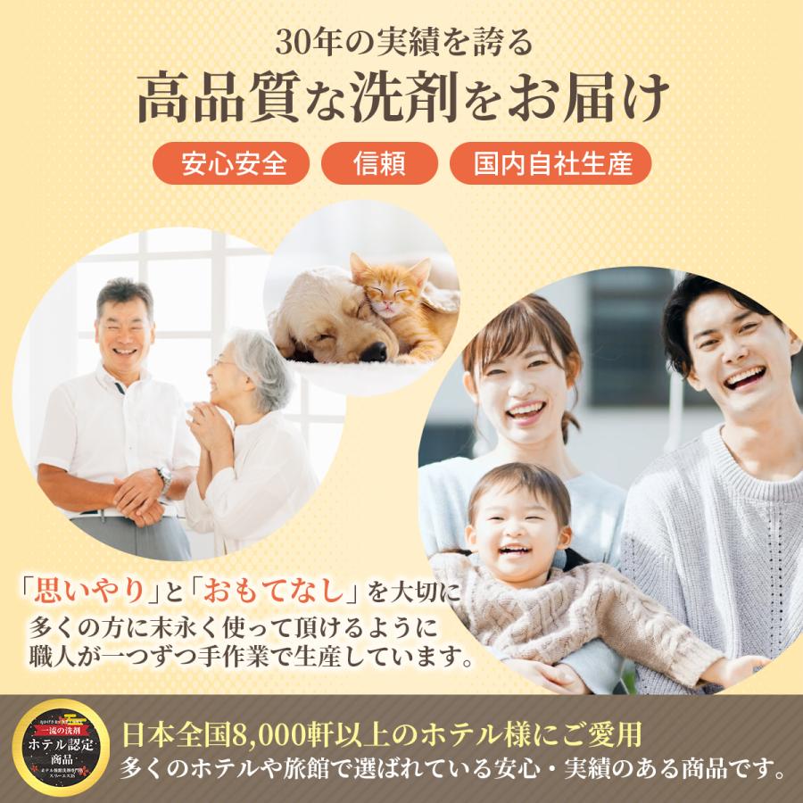 スリーエス 万能シミ汚れ落としスプレー3S 詰替 4L 専用ボトル付 日本製 業務用 強力 衣類 ファブリック カーペット キッチン 車 マルチ 洗浄剤 爆買の画像
