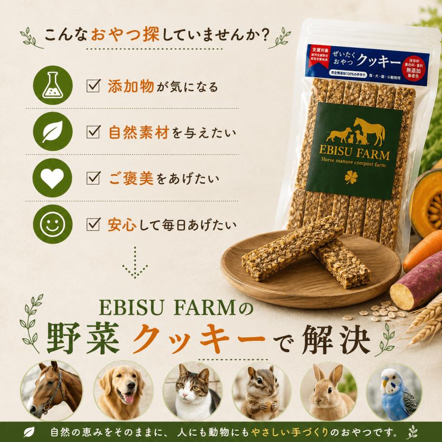 馬のおやつ クッキー 200g×2袋 400g ペット用 おやつ 無添加 野菜