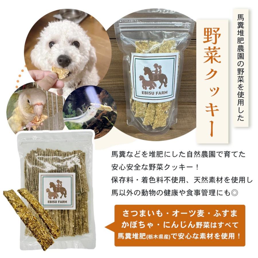 馬のおやつクッキー200g×2袋 ペット用クッキー 野菜クッキー 手造りクッキー 無添加 天然素材 犬 猫 鳥 リス 厳選野菜 自然農園 安心安全 |  | 03