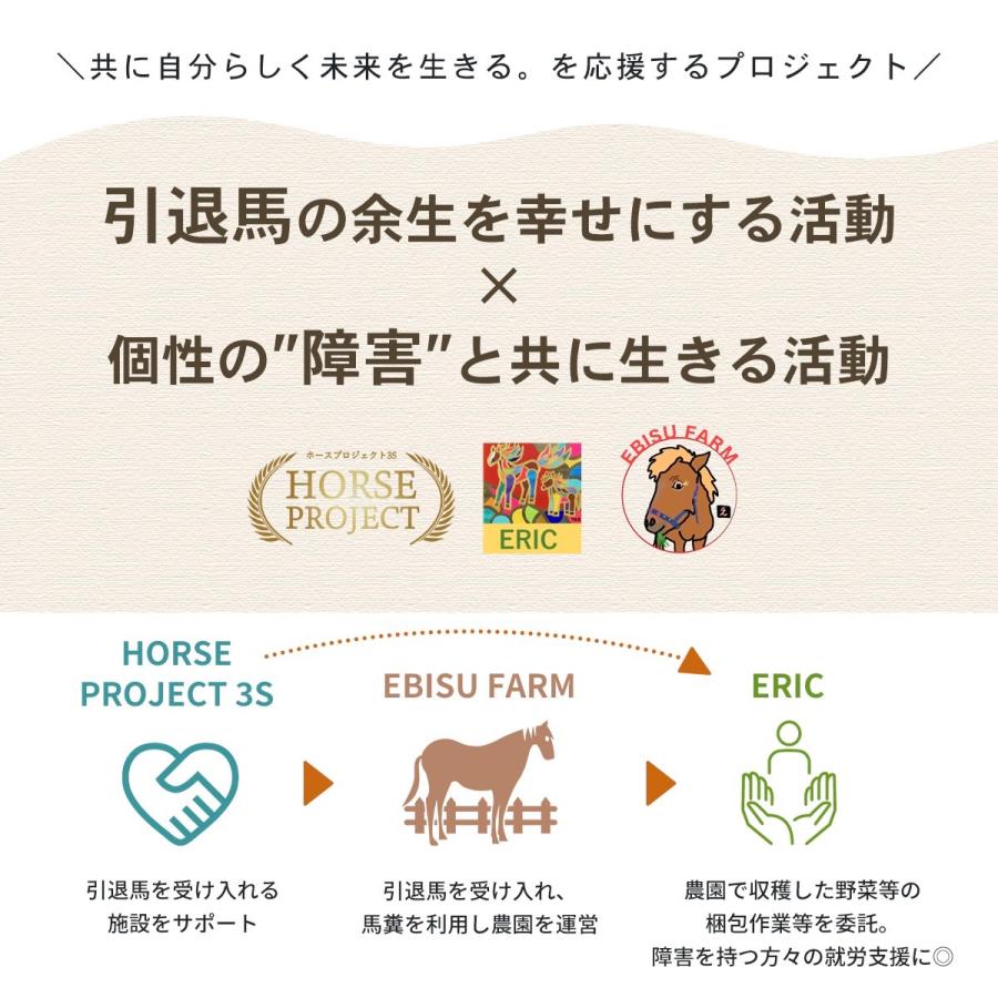 馬のおやつクッキー200g×2袋 ペット用クッキー 野菜クッキー 手造りクッキー 無添加 天然素材 犬 猫 鳥 リス 厳選野菜 自然農園 安心安全 |  | 06