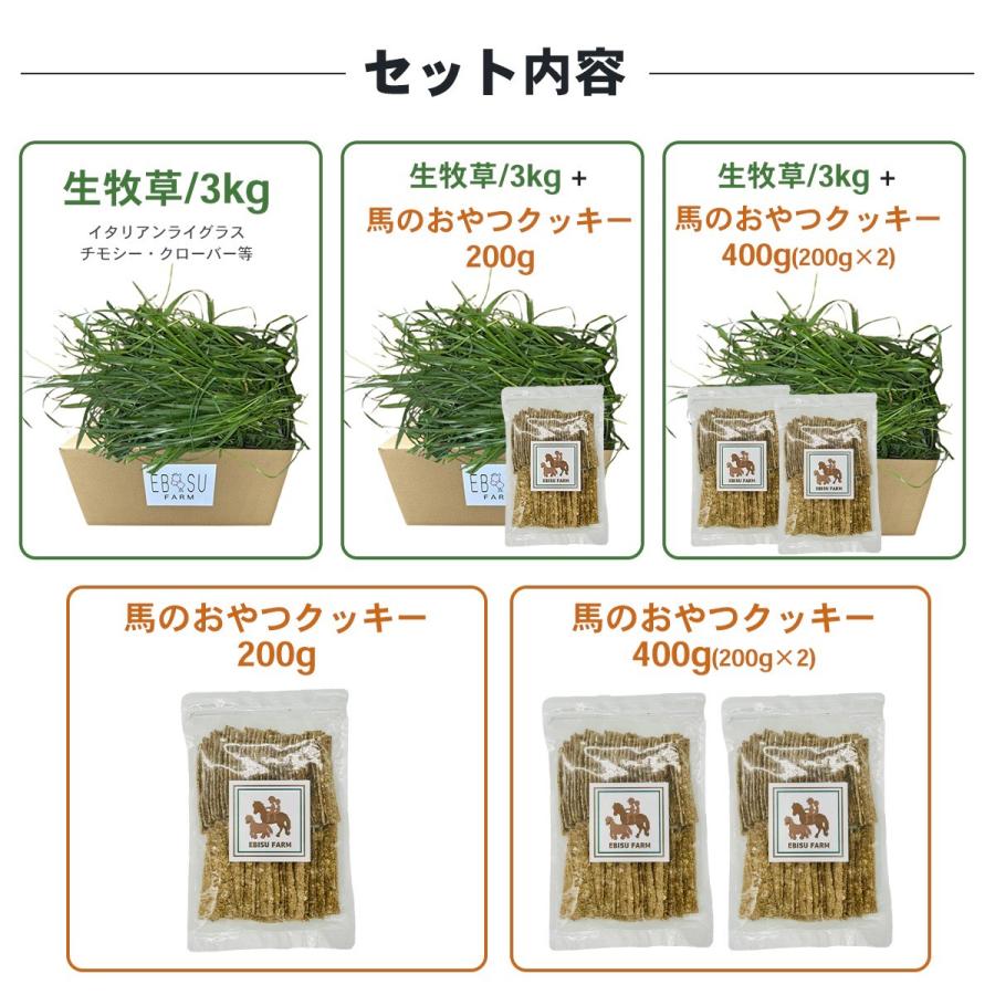 馬のおやつクッキー200g×2袋 ペット用クッキー 野菜クッキー 手造りクッキー 無添加 天然素材 犬 猫 鳥 リス 厳選野菜 自然農園 安心安全 |  | 08