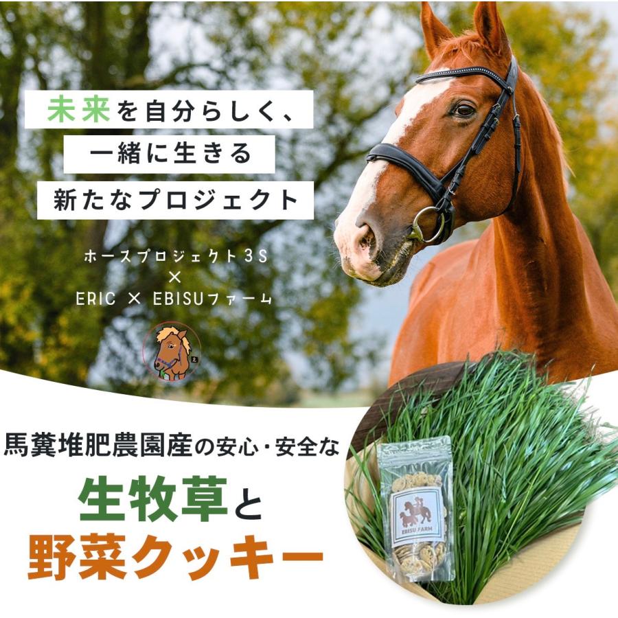 馬のおやつクッキー200g ペット用クッキー 野菜クッキー 手造りクッキー 無添加 天然素材 犬 猫 鳥 リス 厳選野菜 自然農園 安心安全 |  | 02