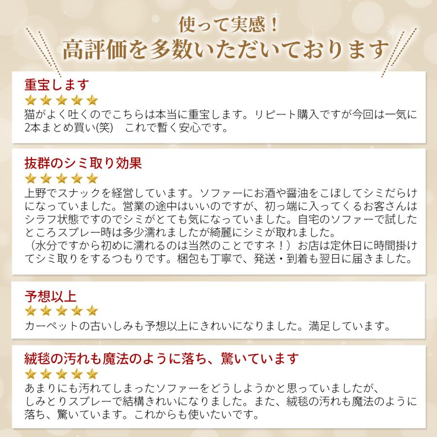 セール | 在庫限り スリーエス シミとり スプレー Super3S 240ml × 6 本 調味料 血液 椅子 ソファ じゅうたん  業務用 カーペット クリーナーの画像