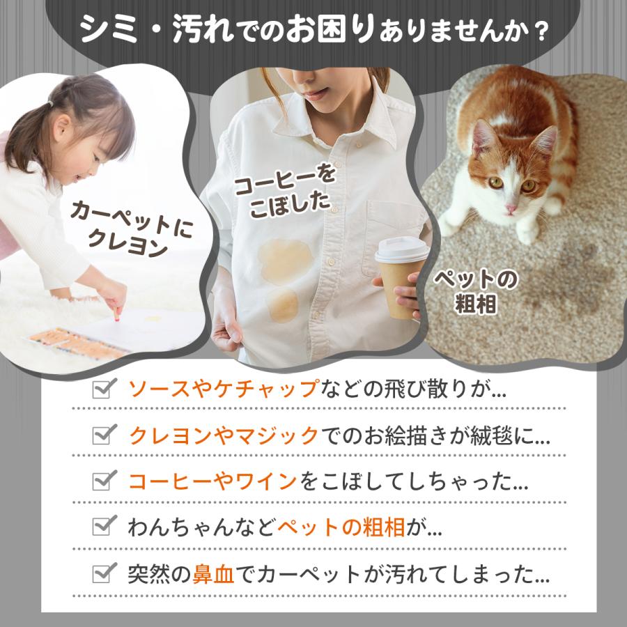 セール | 在庫限り スリーエス シミとり スプレー Super3S 240ml × 6 本 調味料 血液 椅子 ソファ じゅうたん  業務用 カーペット クリーナーの画像