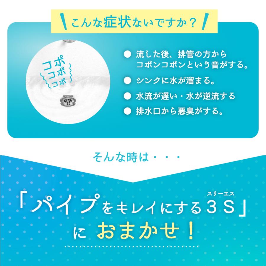1本で約5回分 強力洗浄剤 パイプ洗浄剤 パイプをキレイにする３ｓ ９００ｇ 排水管 流し キッチン 洗面所 浴槽 髪の毛 詰まり Pipe 900 ホテル旅館洗剤専門店スリーエス3s 通販 Yahoo ショッピング