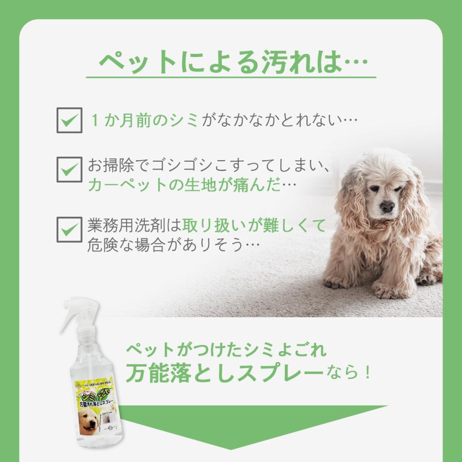 RNSP-P500 アイリスオーヤマ リンサークリーナー ＆ ペットのつけた汚れに 万能シミ汚れ落としスプレー3S 4000ml 絨毯 カーペット 業務用  シミ洗剤の画像