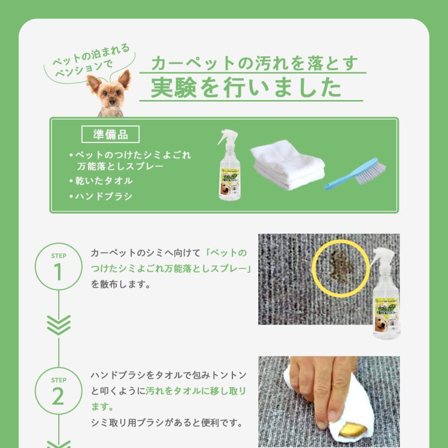 RNSP-P500 アイリスオーヤマ リンサークリーナー ＆ ペットのつけた汚れに 万能シミ汚れ落としスプレー3S 4000ml 絨毯 カーペット 業務用  シミ洗剤の画像