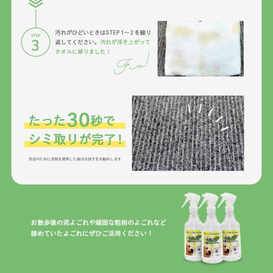 RNSP-P500 アイリスオーヤマ リンサークリーナー ＆ ペットのつけた汚れに 万能シミ汚れ落としスプレー3S 4000ml 絨毯 カーペット 業務用  シミ洗剤の画像