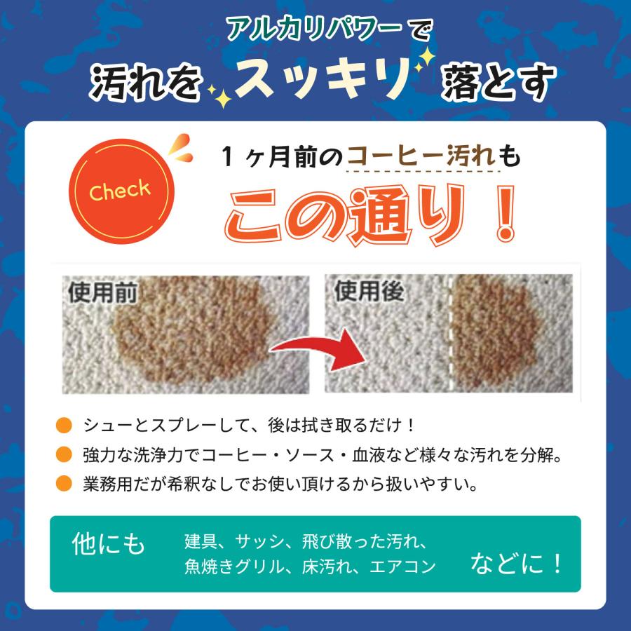 アイリスオーヤマ リンサークリーナー RNSP-P500 + スリーエス 万能シミ汚れ落としスプレー3S 2L  汚れ  水 温水 洗浄 強力吸引 布類 車 T字ヘッドの画像