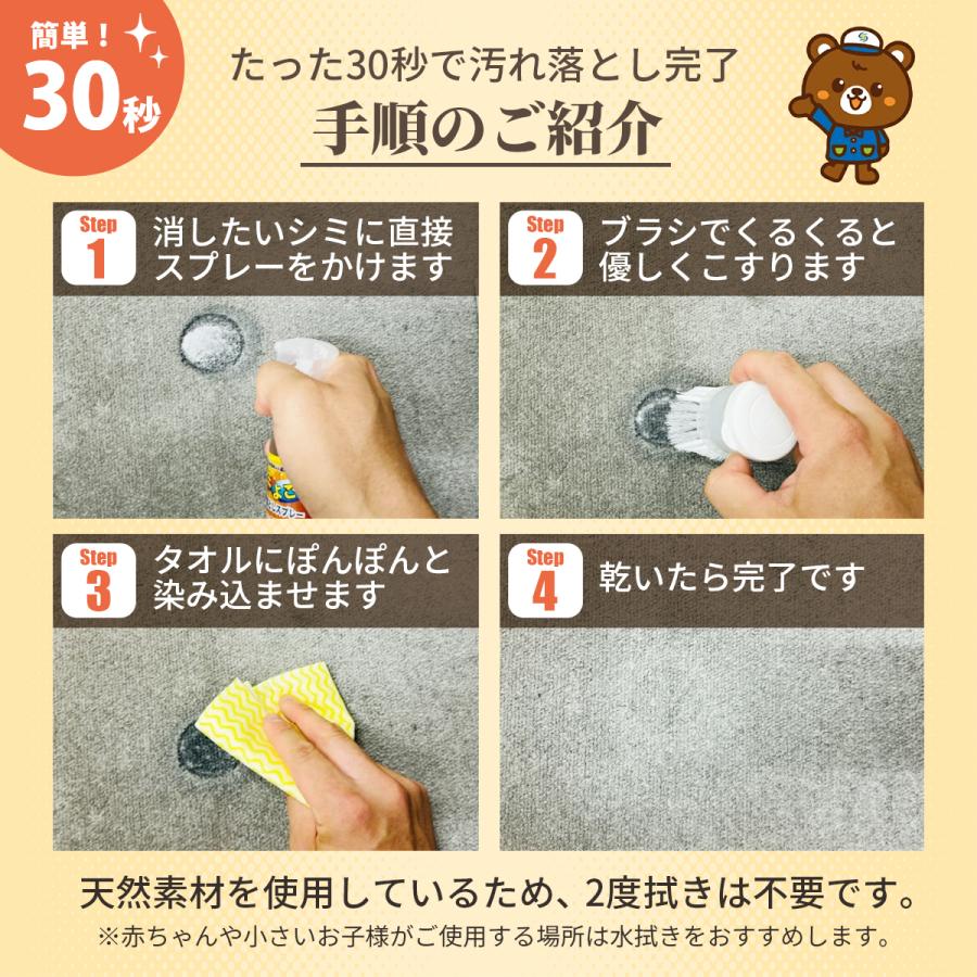 IRIS OHYAMA アイリスオーヤマ リンサークリーナー RNS-300 +