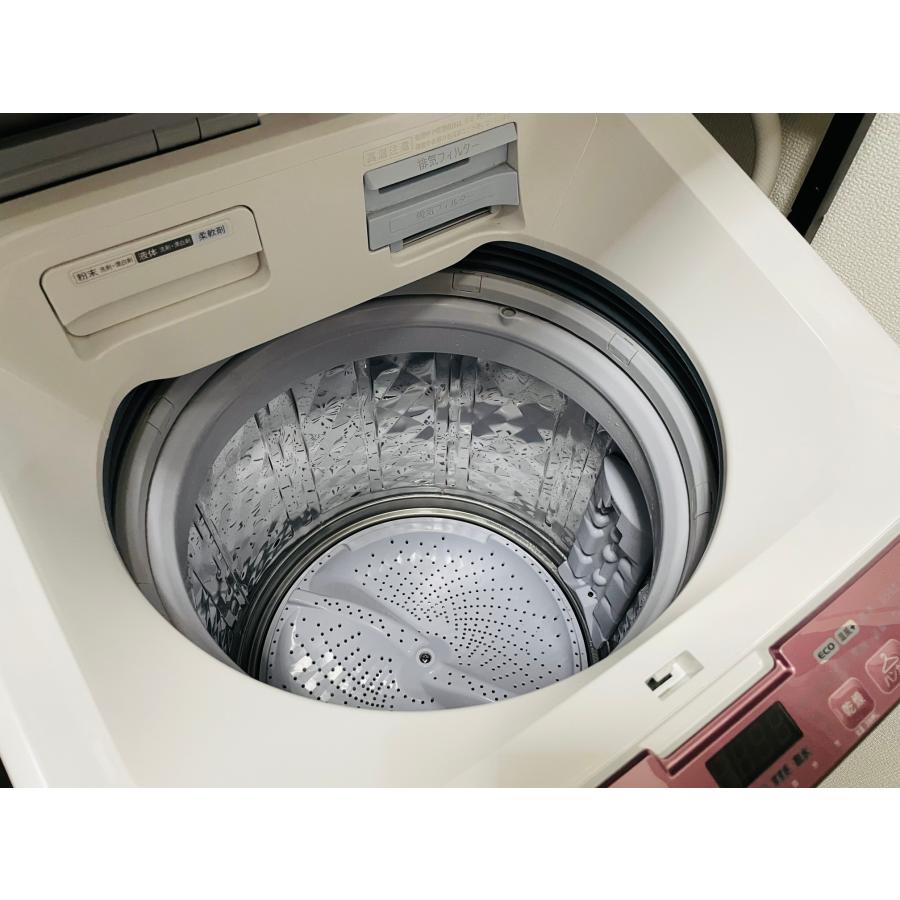 スリーエス 洗濯槽クリーナー 洗たく槽 リフレッシュする3S 200g カビ 