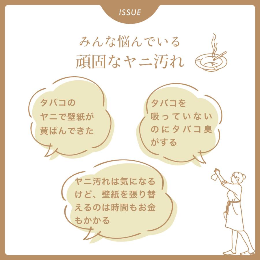 3S（Le Creuset） スリーエス ヤニ 取り クリーナー 3S スプレー 500ml 