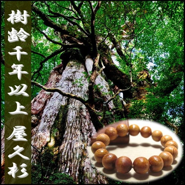 屋久杉 ブレスレット10mm 証明書付 : yakusugi-10mm : 廻運風水 