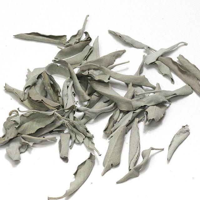 ミッチー❣️forest weddgingホワイト調ローズトピアリー公触媒