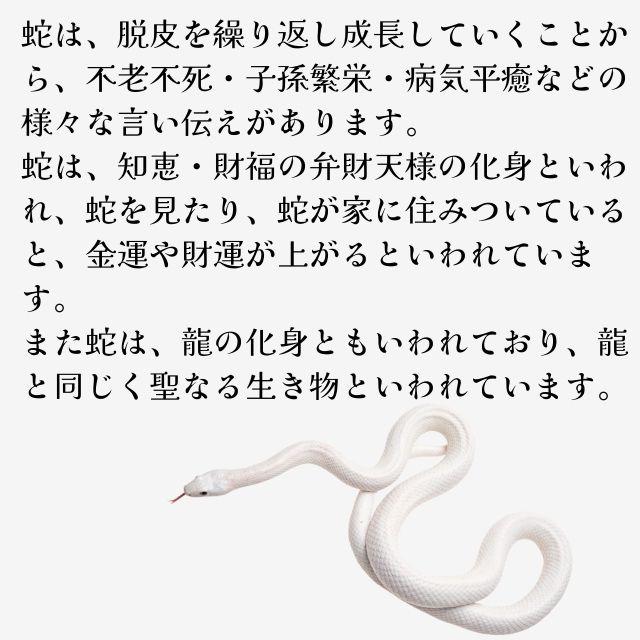 風水 白蛇 置物 へび 弁財天 かわいい白蛇の置物 陶器 最大長さ約 しろへび 白龍 水神 ヘビ 十二支 巳 金運 開運 グッズ アイテム 縁起物 インテリア 密教法具・天然石・風水専門店 マンガラ - 通販 - Yahoo ショッピング