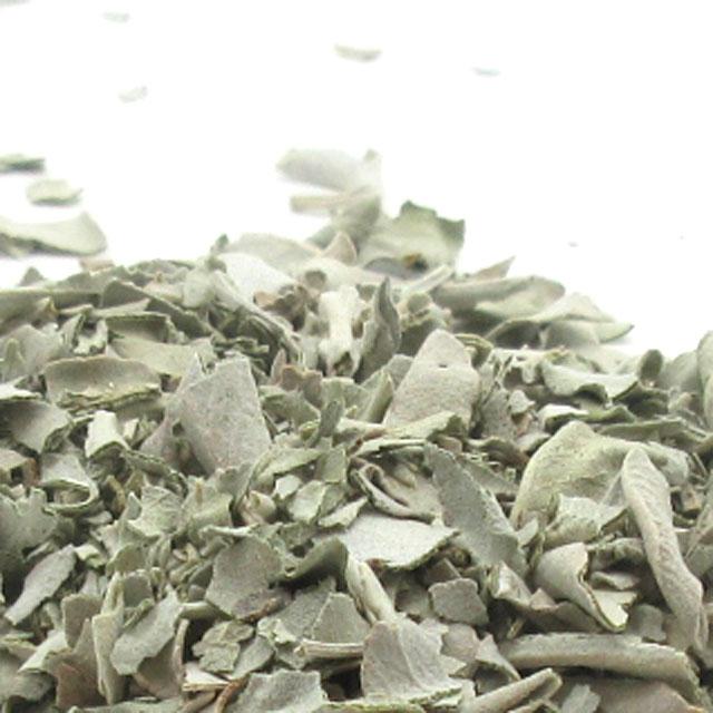 ホワイトセージ 粉 クラッシュの粉々 パウダー 約30g 浄化