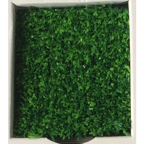 サンバルコ NX 人工芝 182cm巾×1m単位で長さ指定（最大長さ30m