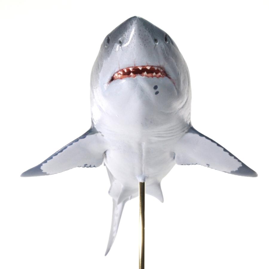 《送料込》 ホホジロザメ　フィギュア　Great white shark（フィッシュカービング）※受注生産4ヵ月待ち（代引き不可） 【O2628326373】(13750円)