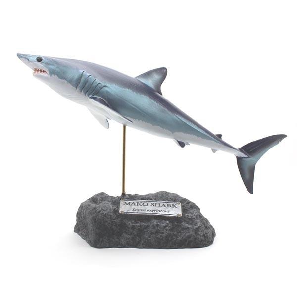 【保存版】 アオザメ　フィギュア　Shortfin mako shark　figure（フィッシュカービング）※受注生産4ヵ月待ち（代引き不可） その他