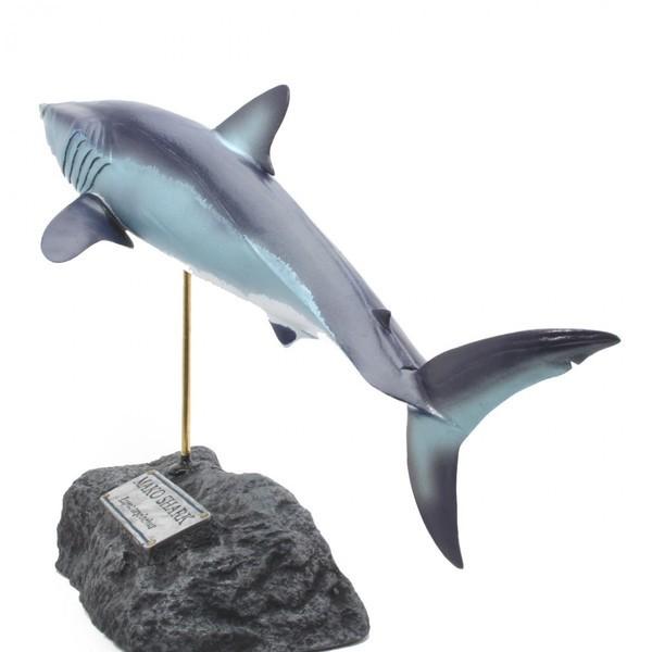 アオザメ フィギュア Shortfin mako shark figure（フィッシュ