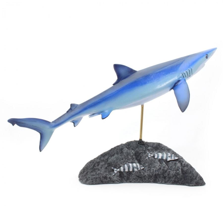 ヨシキリザメ フィギュア Blue shark（フィッシュカービング