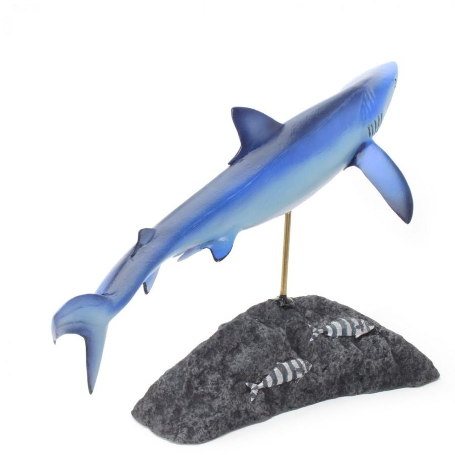 ヨシキリザメ フィギュア フィッシュカービング Blue shark 精密模型