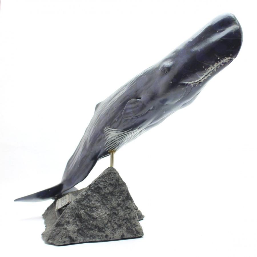 マッコウクジラ　フィギュア（フィッシュカービング）※受注生産4ヵ月待ち（代引き不可） 代引き不可