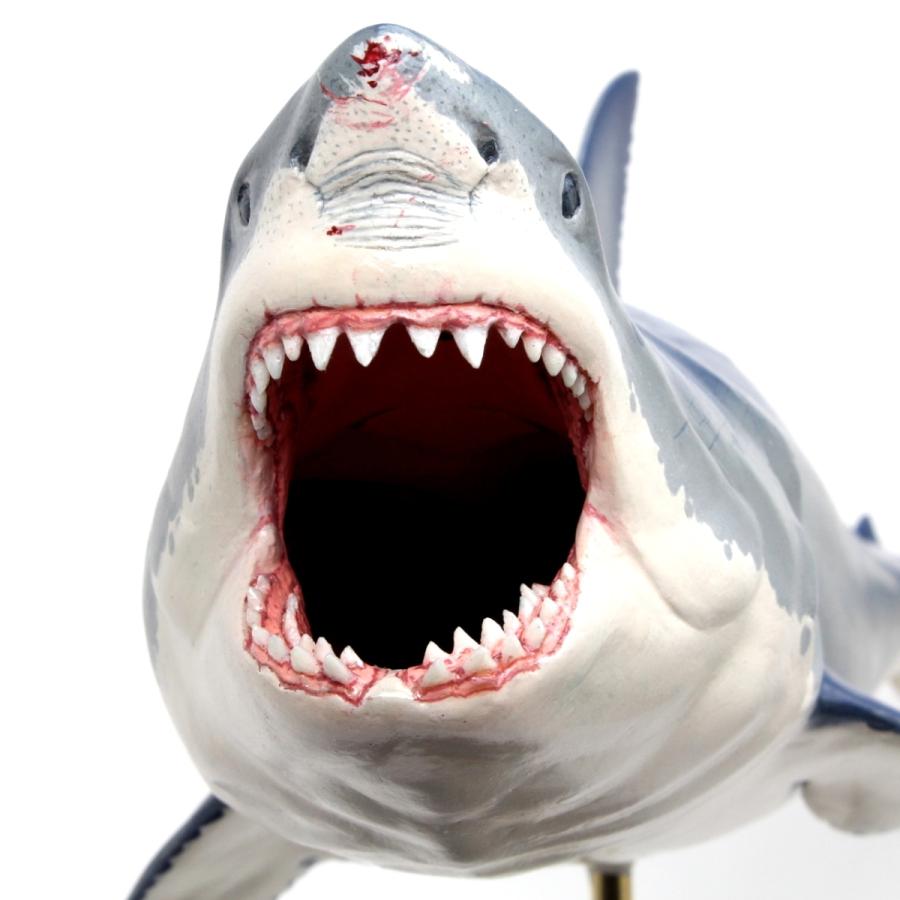 ホホジロザメ　フィギュア2　プロモデル　Great white shark（フィッシュカービング）※受注生産6ヵ月待ち（代引き不可）｜kaiyokobo｜11