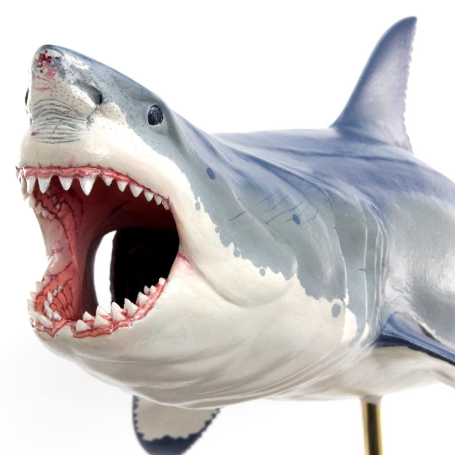 ホホジロザメ　フィギュア2　プロモデル　Great white shark（フィッシュカービング）※受注生産6ヵ月待ち（代引き不可）｜kaiyokobo｜04