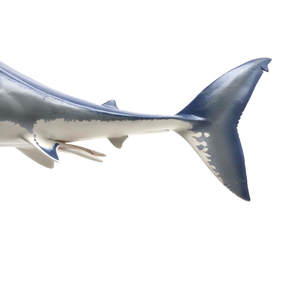 ホホジロザメ　フィギュア2　プロモデル　Great white shark（フィッシュカービング）※受注生産6ヵ月待ち（代引き不可）｜kaiyokobo｜09