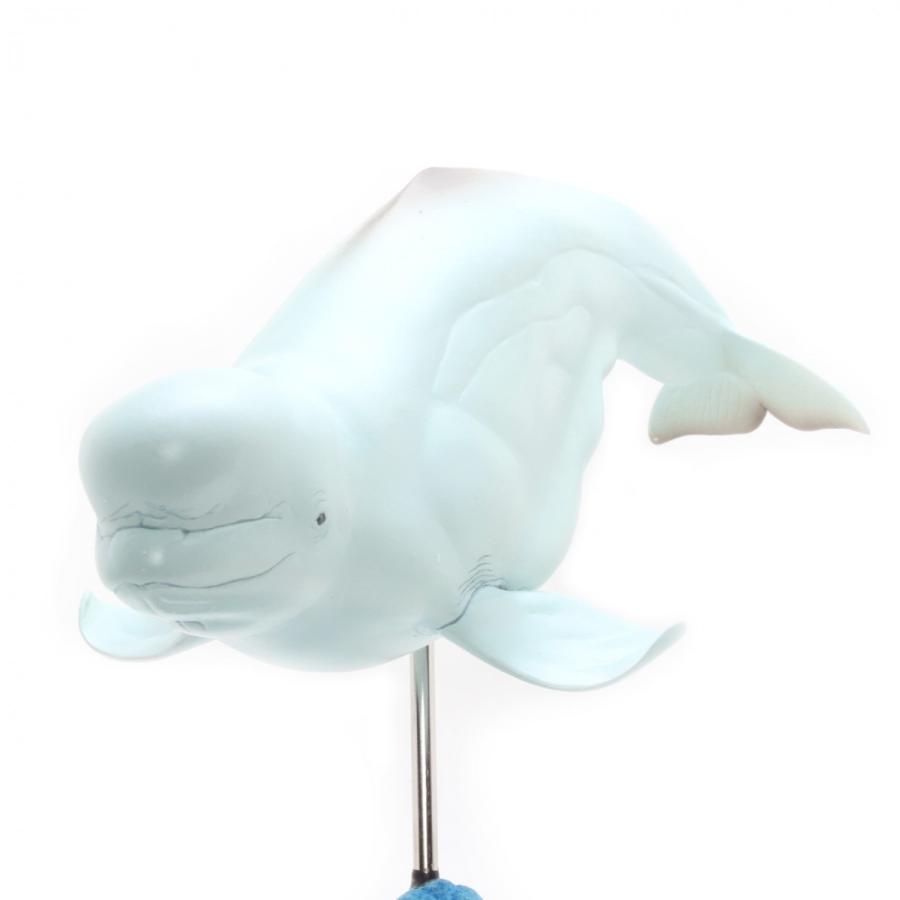 セール アウトレット シロイルカ フィギュア ebd57c 送料関税無料 Cfscr Com