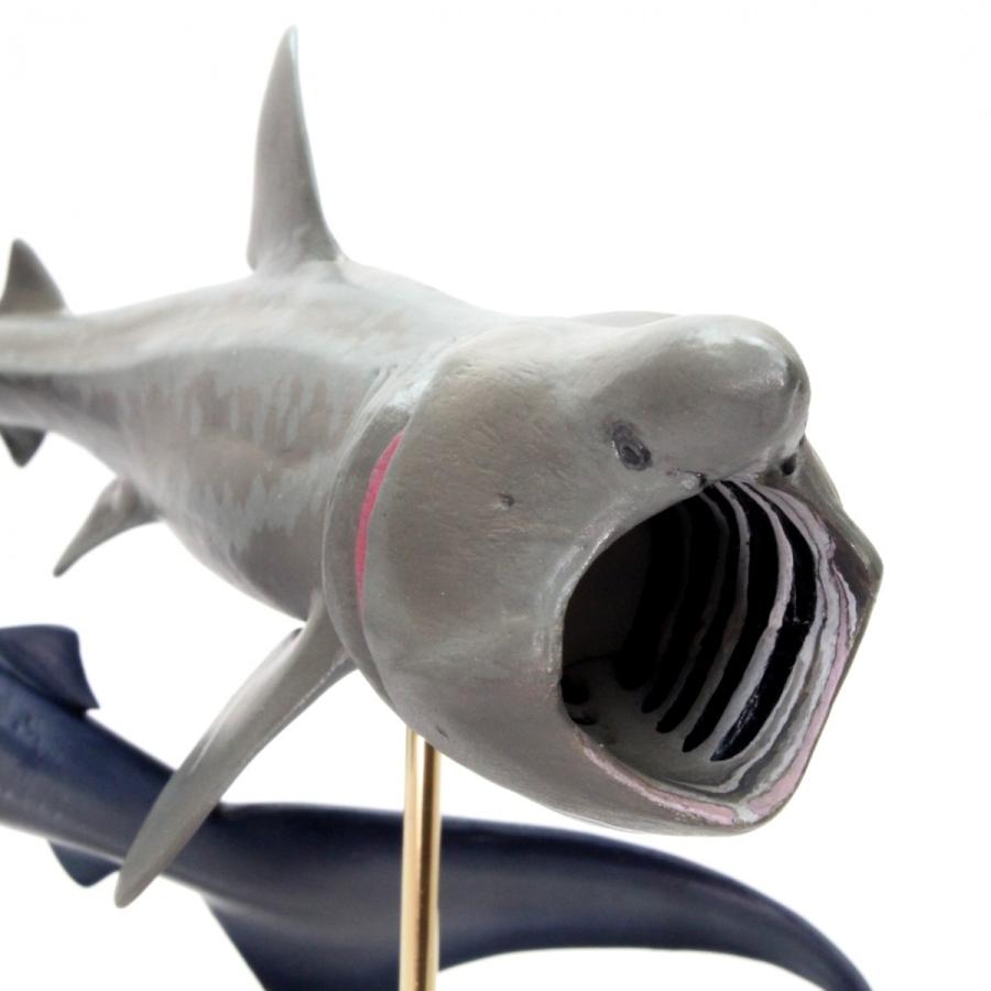 メガマウス＆ウバザメ フィギュア フィッシュカービング Megamouth Shark ＆ Basking shark 精密模型 ハンドメイド ...