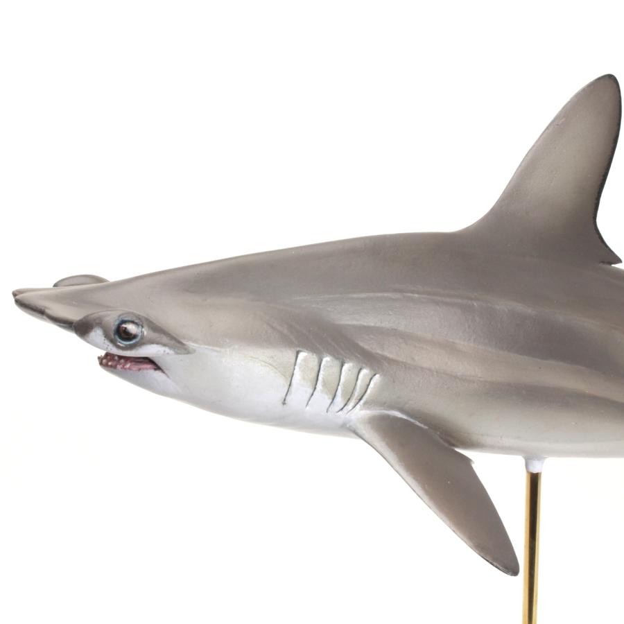 アカシュモクザメ フィギュア フィッシュカービング Scalloped