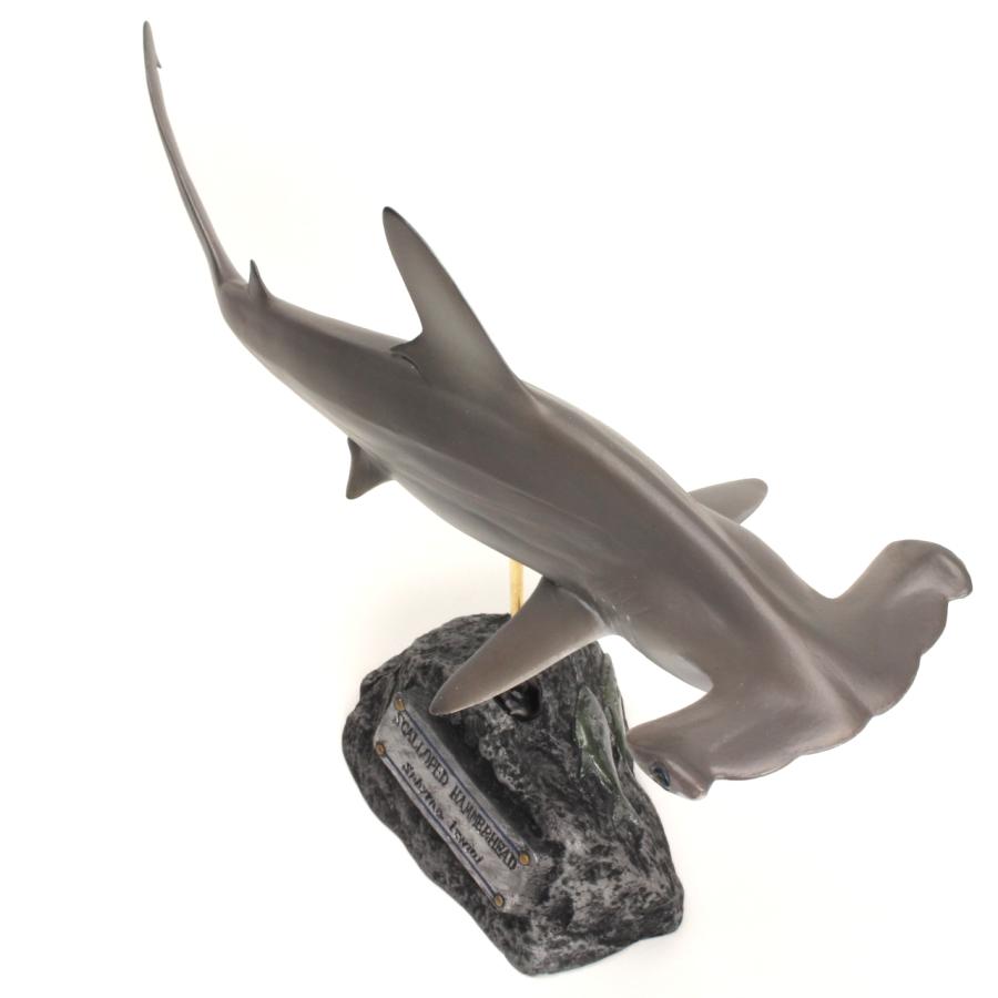 アカシュモクザメ フィギュア Scalloped hammerhead shark（フィッシュ