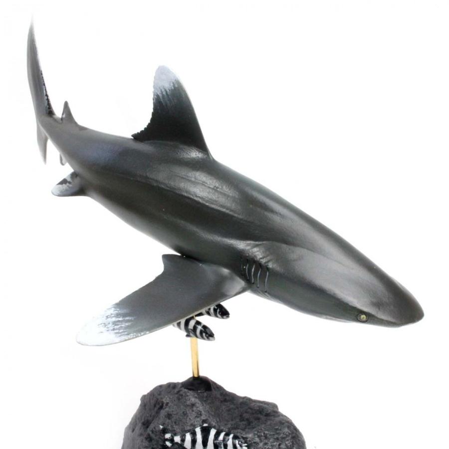 魚フィギュアばら売り Amazon.co.jp: EUHELOPA マグロ フィギュア 44cm級 魚類 サバ科