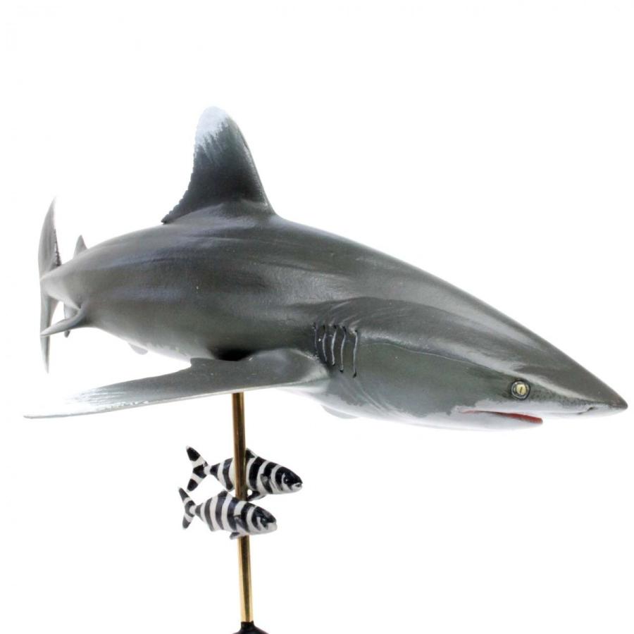ヨゴレザメ フィギュア Oceanic whitetip shark（フィッシュ