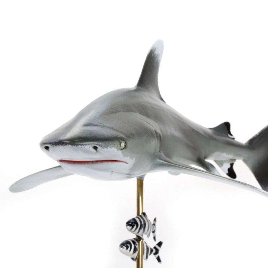 ヨゴレザメ フィギュア Oceanic whitetip shark（フィッシュカービング